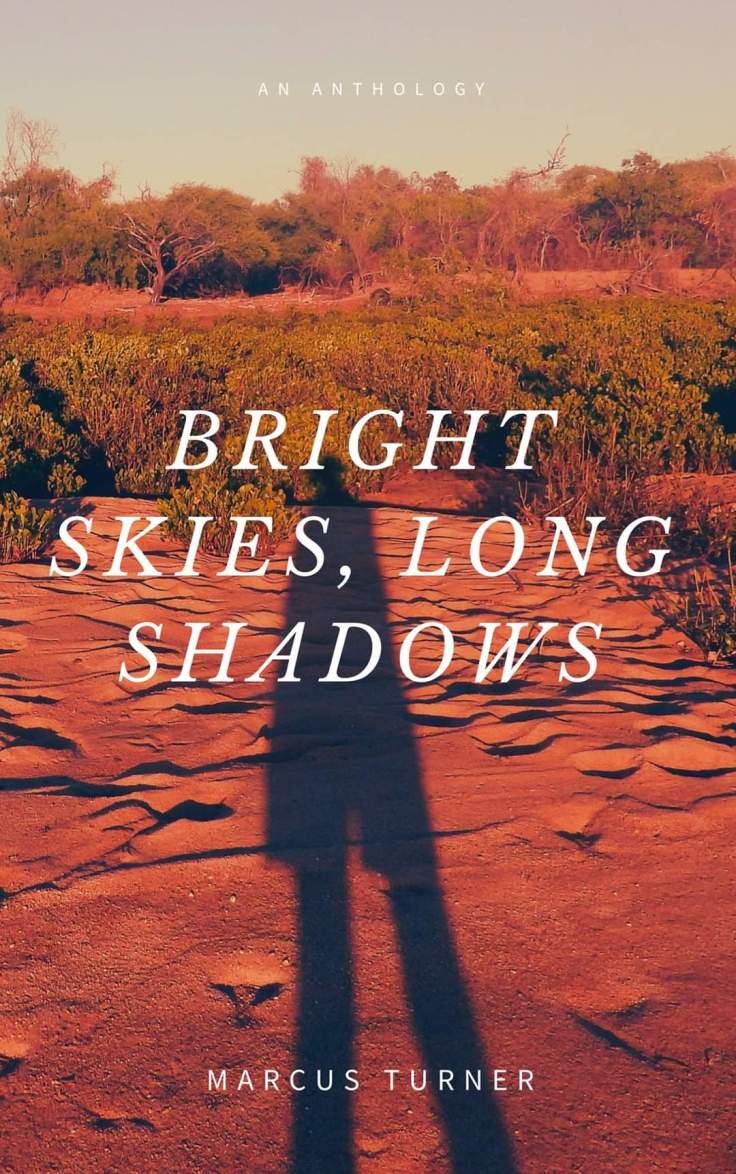 Bright Skies Long Shadows book cover